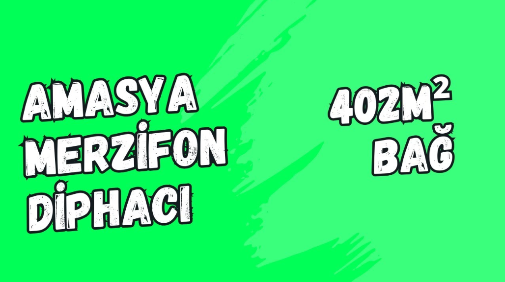 AMASYA MERZİFON DİPHACI KÖYÜNDE 402M² BAĞIMIZ SATILIKTIR. - AMASYA MERZİFON fotoğraf 8